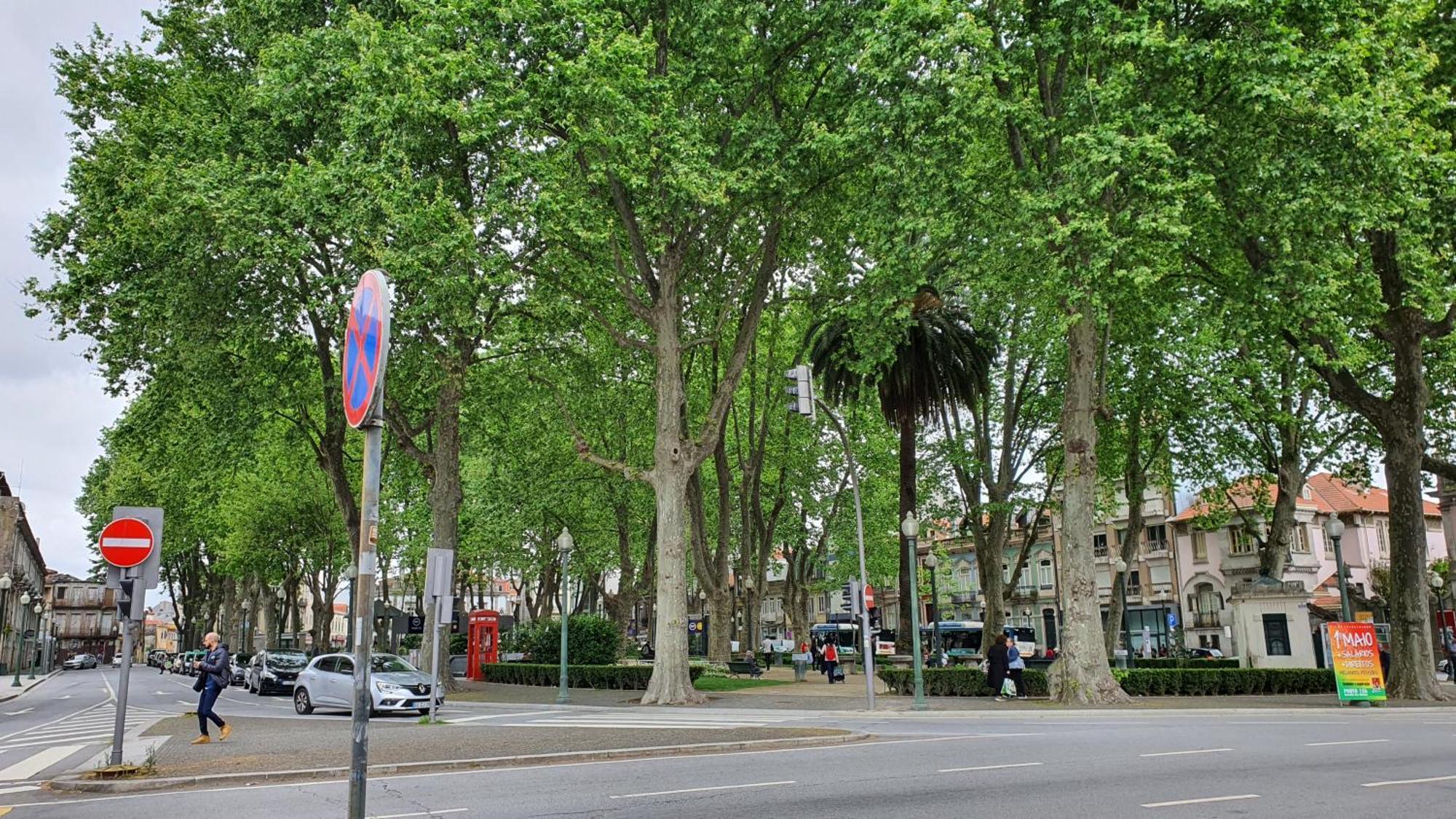 Marques Garden With Parking Appartement Porto Buitenkant foto